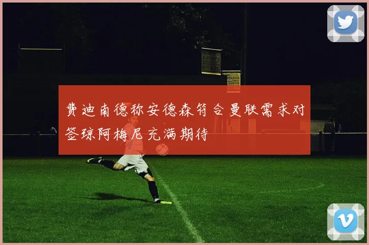 费迪南德称安德森符合曼联需求对签琼阿梅尼充满期待